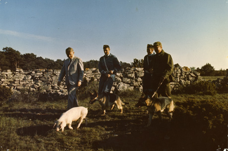 Grisjakten (1970)