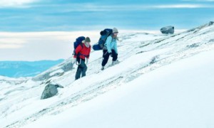 fjellet_3463402708x708r
