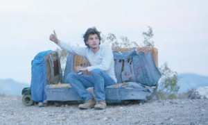 Into the Wild