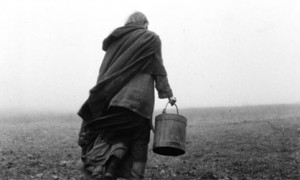 The Turin horse