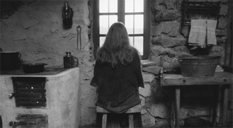 The Turin horse