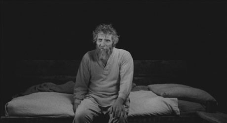 The Turin horse