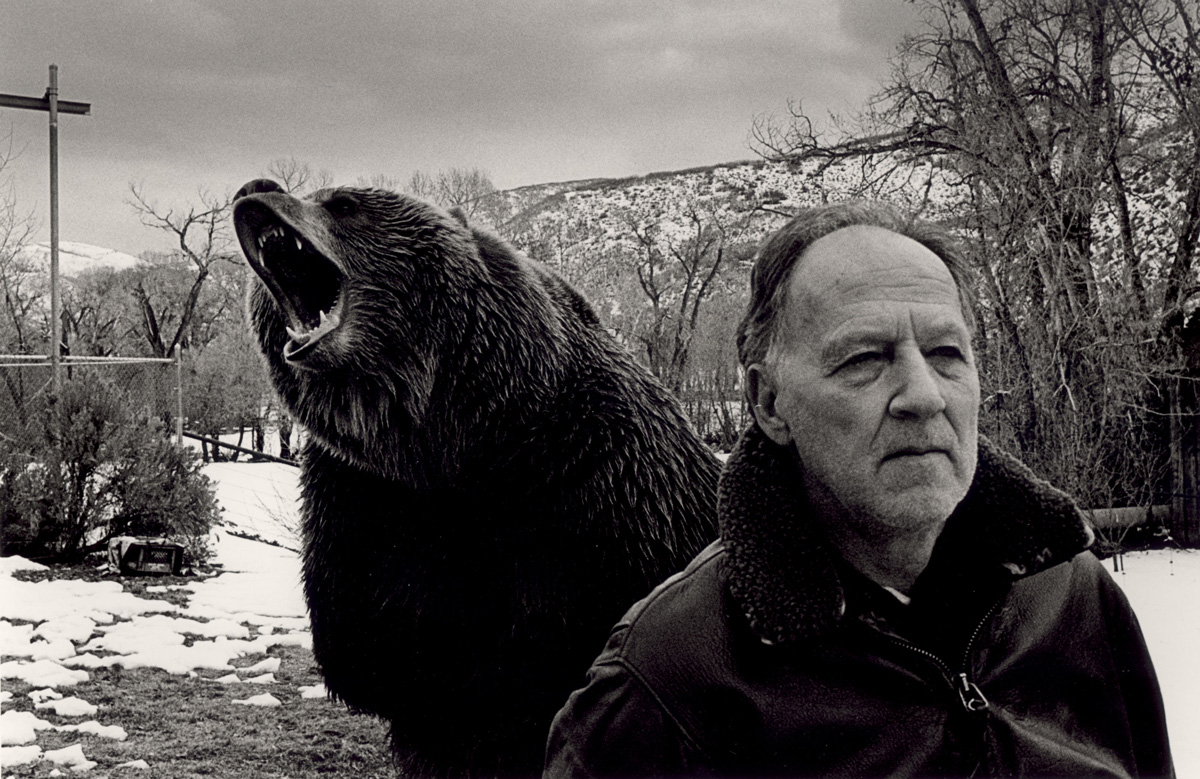 Werner och björnen.