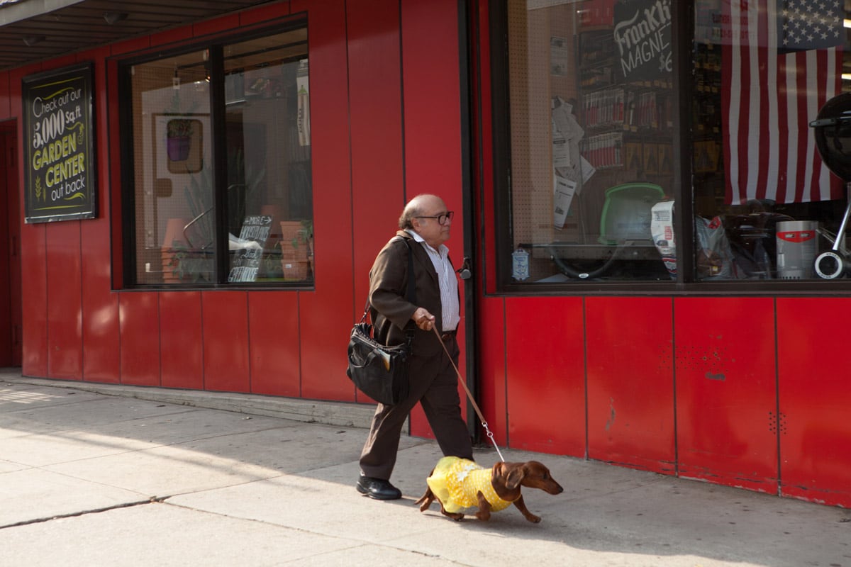 Danny DeVito i Wiener dog (Todd Solondz, 2016)