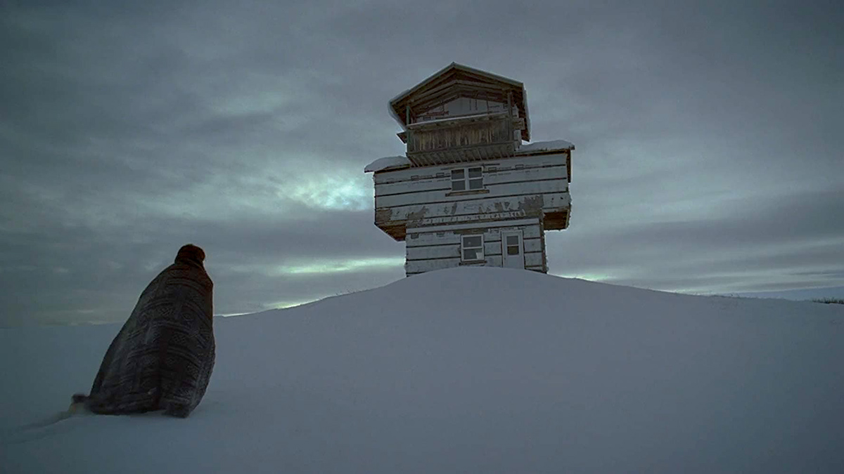 The lodge (Veronika Franz, Severin Fiala, 2019)