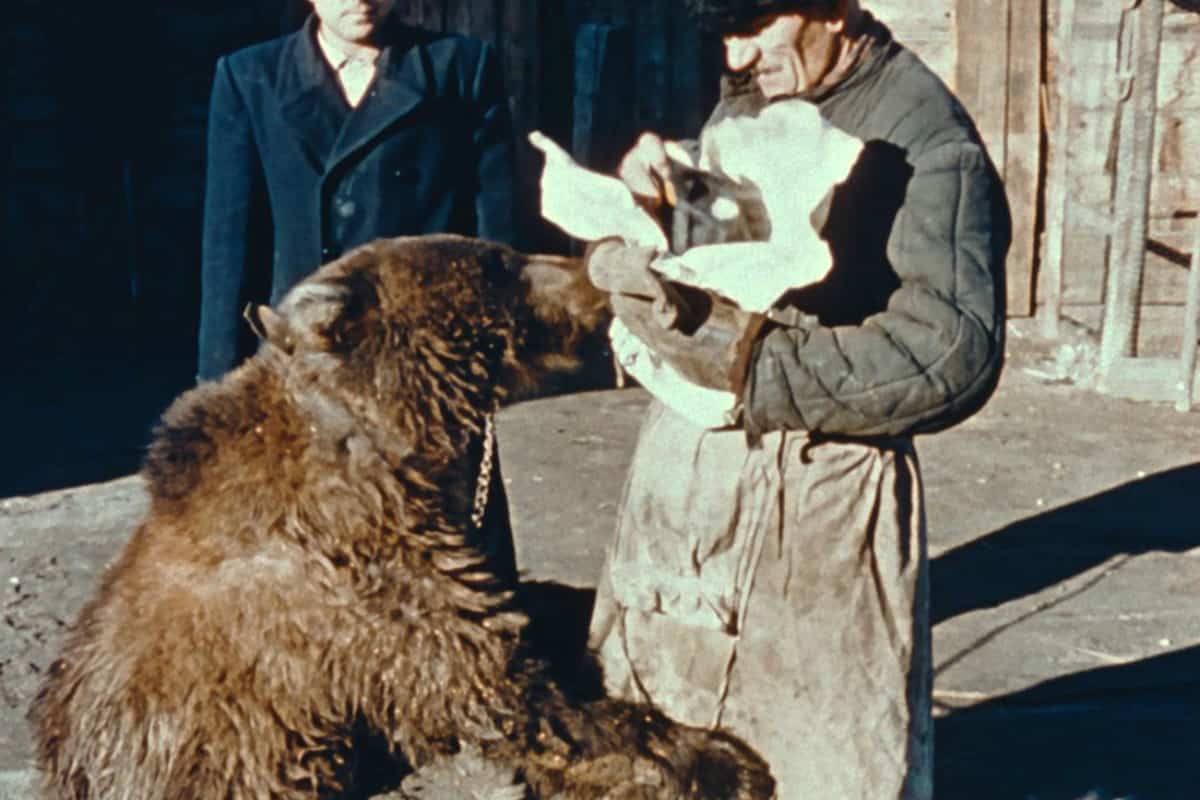 Brev från Sibirien (1957)