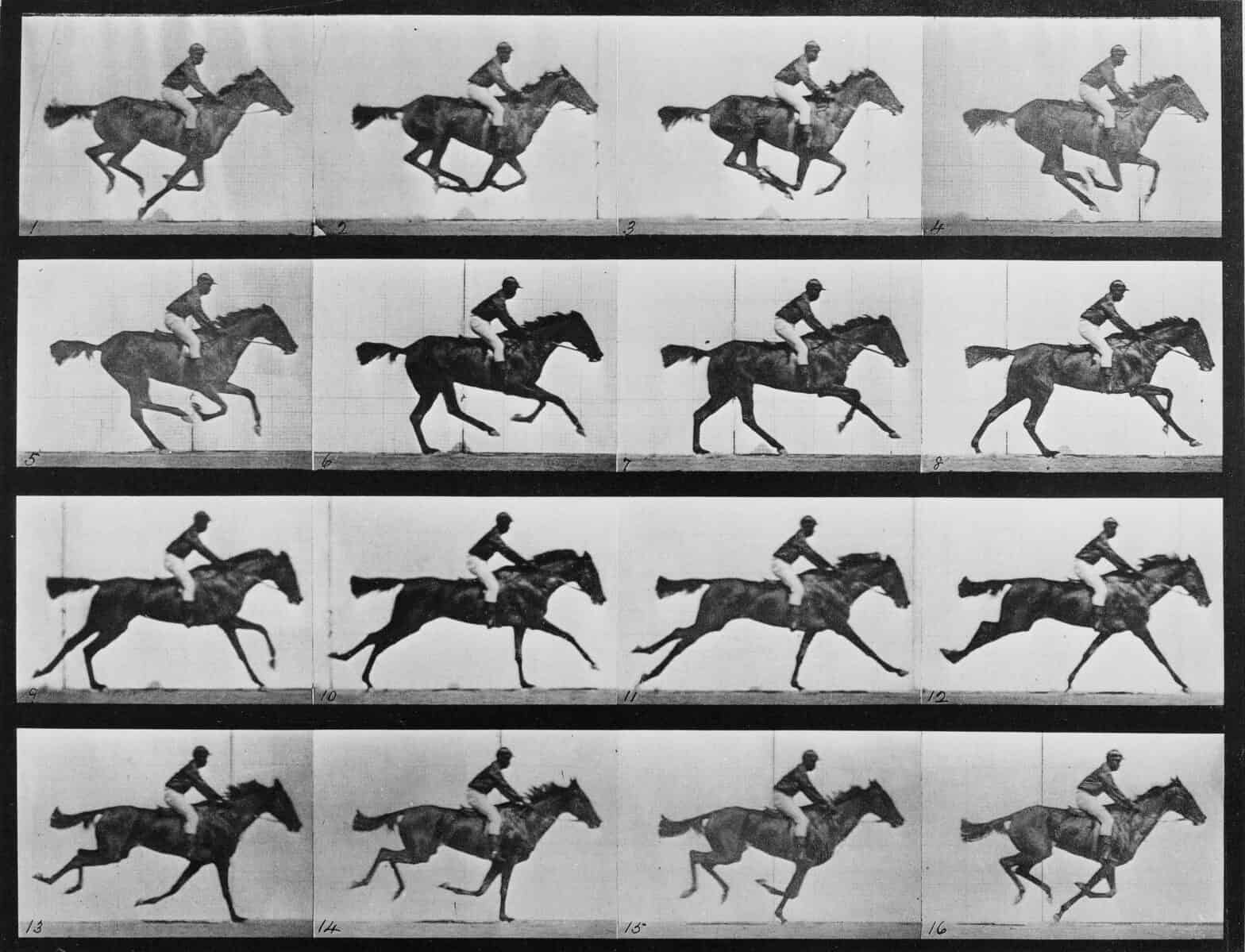 Eadweard Muybridge fotade djur och människor på 1800-talet i protofilmiska experiment.